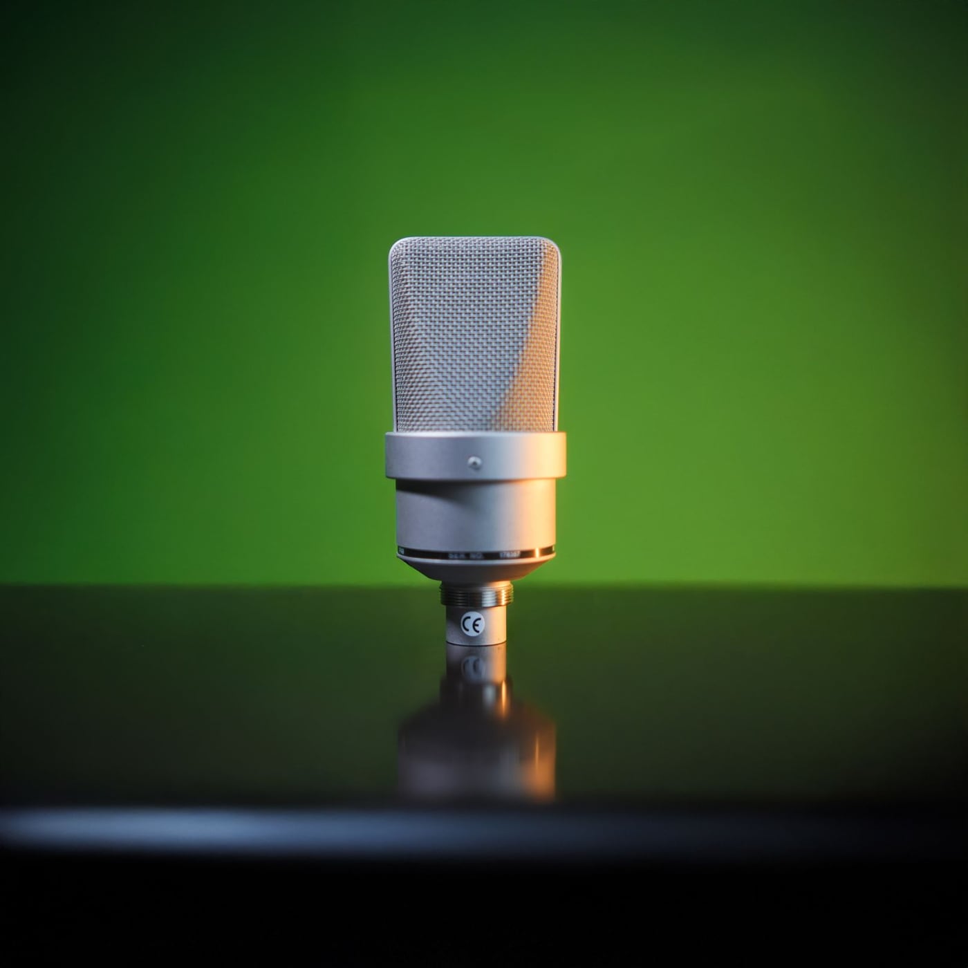 Detailed close-up of a professional studio condenser microphone